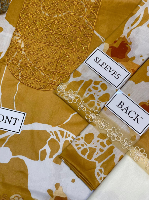 ASIFA NABEEL LAWN COLLECTION 2025 - Image 3