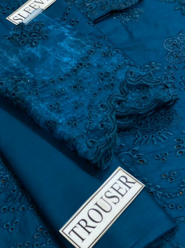Heavy embroidery Chikankari Front With Heavy embroidery daman - Image 3